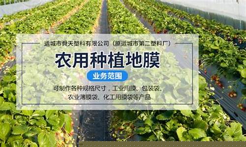 lol菠菜网：专业菠菜导航官网